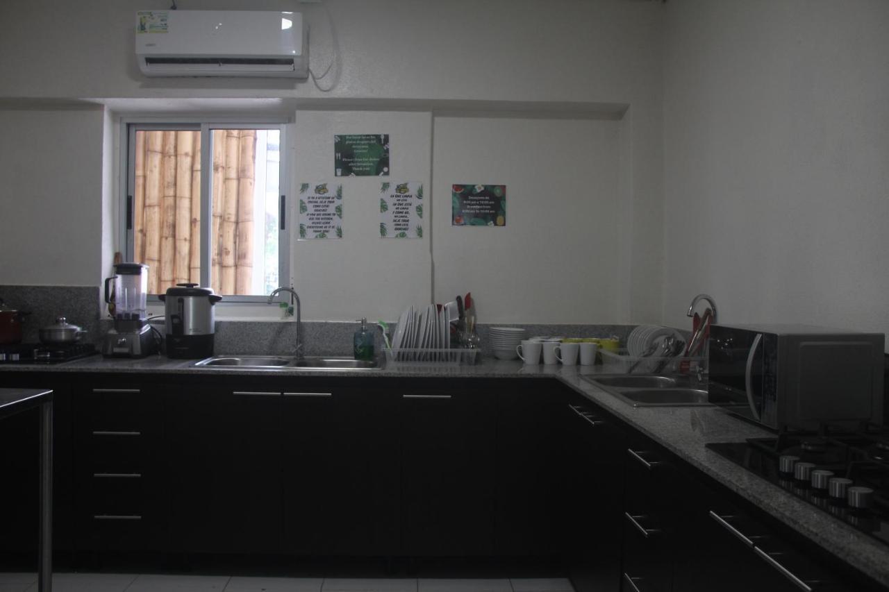 Eden`s Garden Hostel Panama Dış mekan fotoğraf