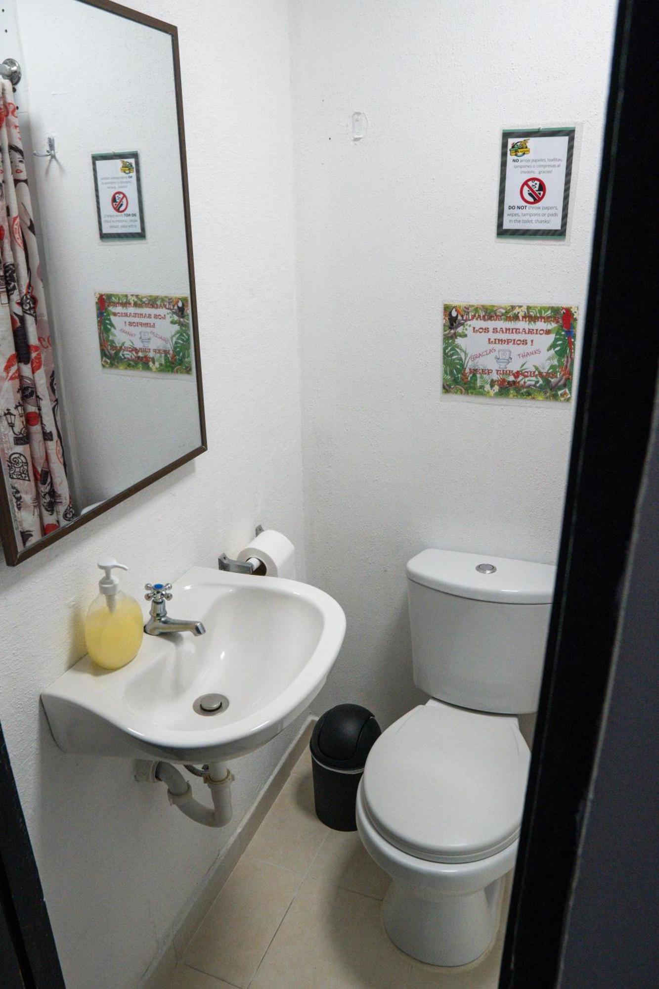 Eden`s Garden Hostel Panama Dış mekan fotoğraf
