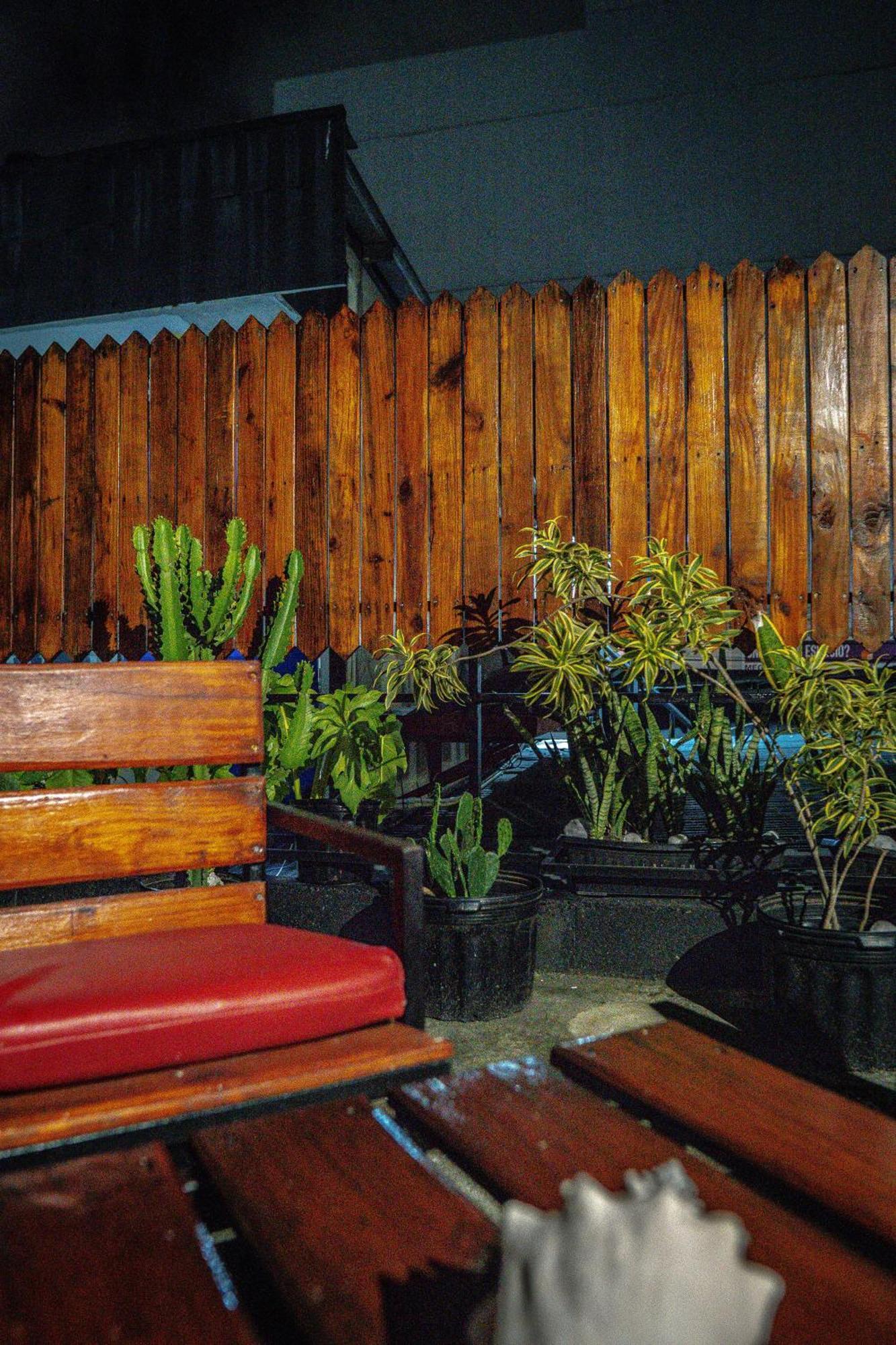 Eden`s Garden Hostel Panama Dış mekan fotoğraf